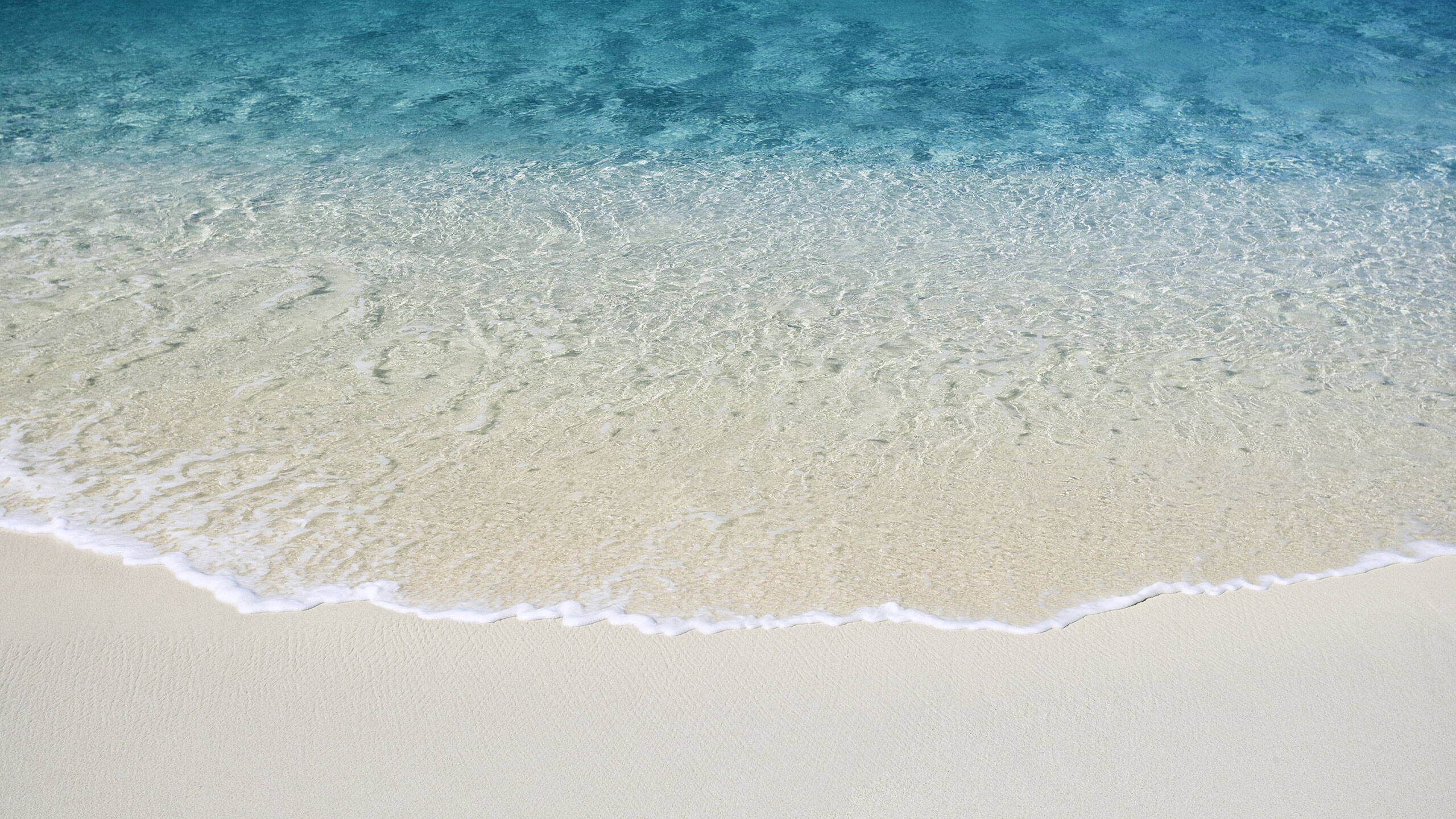 beach.jpg